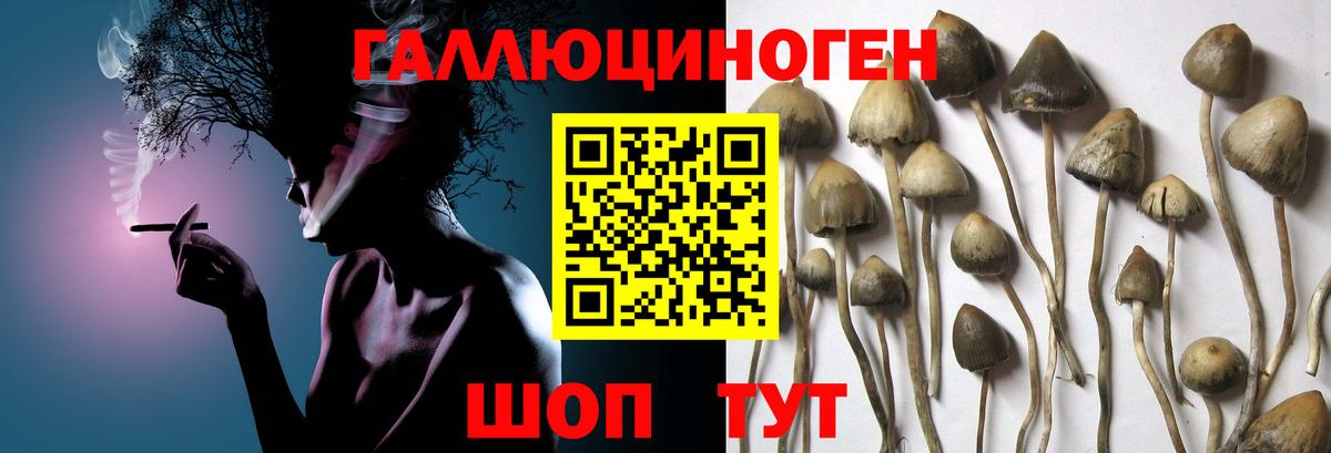 Псилоцибиновые грибы ЛСД Кохма