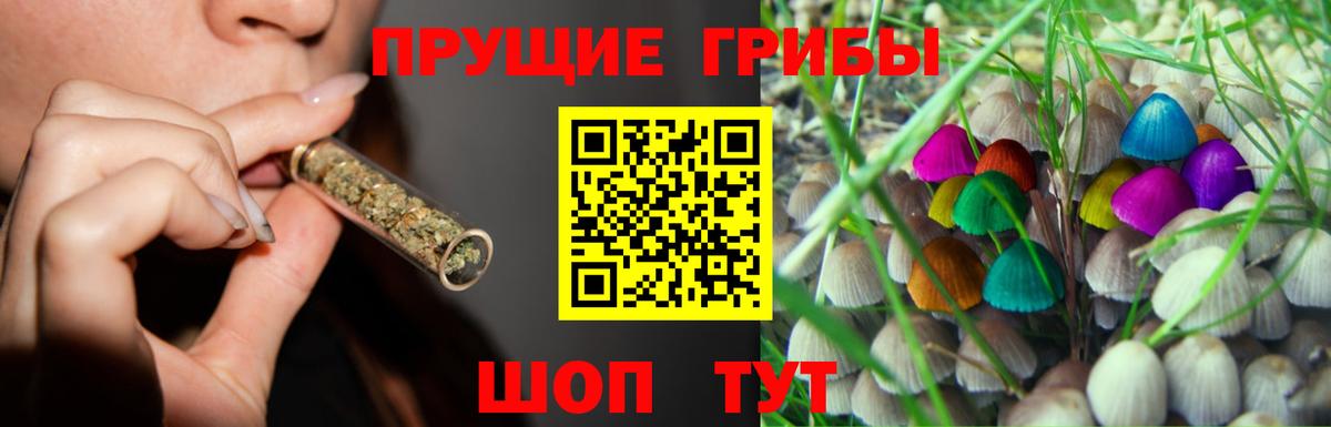 где можно купить   Вход с VPN  Кохма  Галлюциногенные грибы GOLDEN TEACHER 