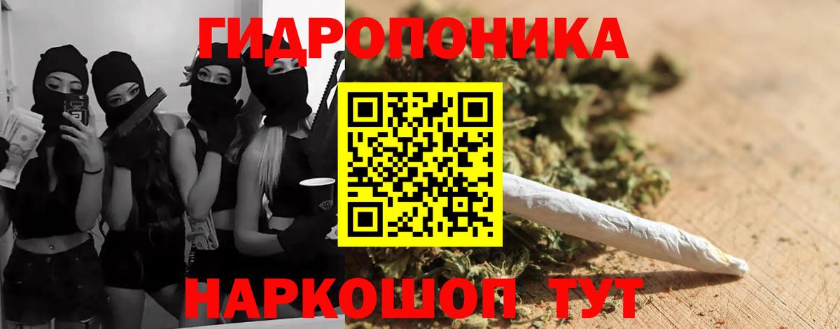 Кохма  Канабис Amnesia  Вход с VPN  Каннабис индика 